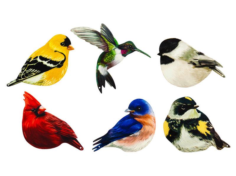 Evergreen Enterprises, Inc Realistic Bird Screen 72 Piece Wall Décor